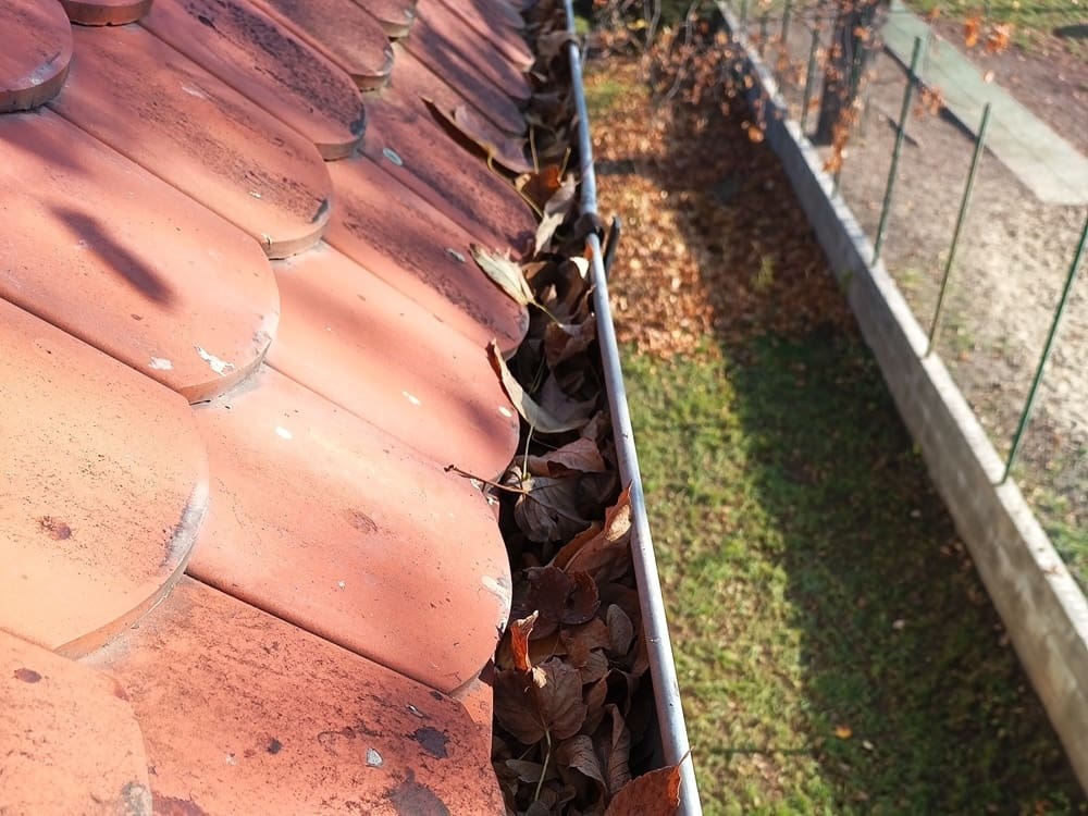 Falevelekkel teli eresz fotója.