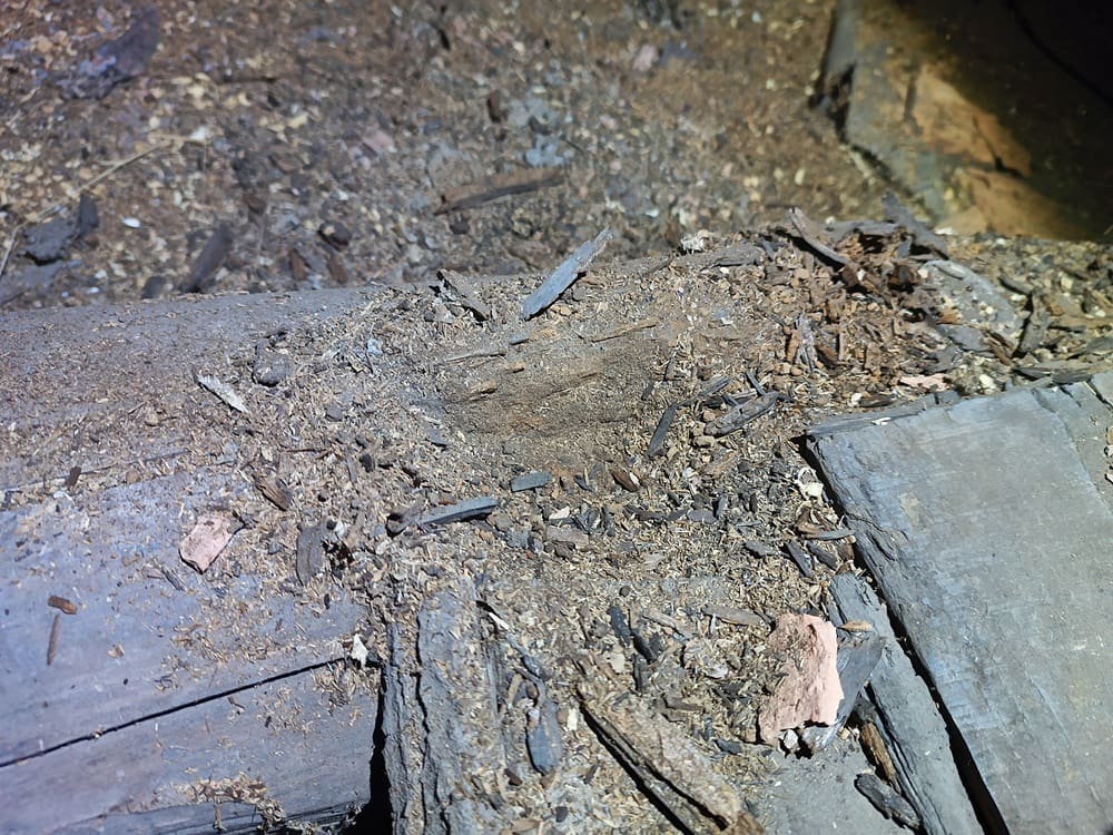 Közeli felvétel egy korhadt födémgerendáról.