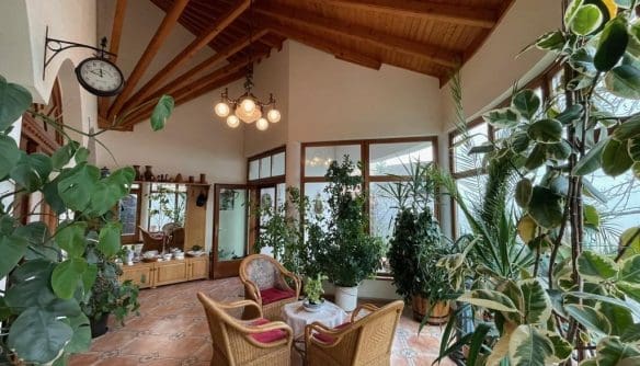 Világos, tágas télikert fa mennyezettel, nagy ablakokkal, sok zöld szobanövénnyel és fonott karosszékekkel berendezett pihenősarokkal.