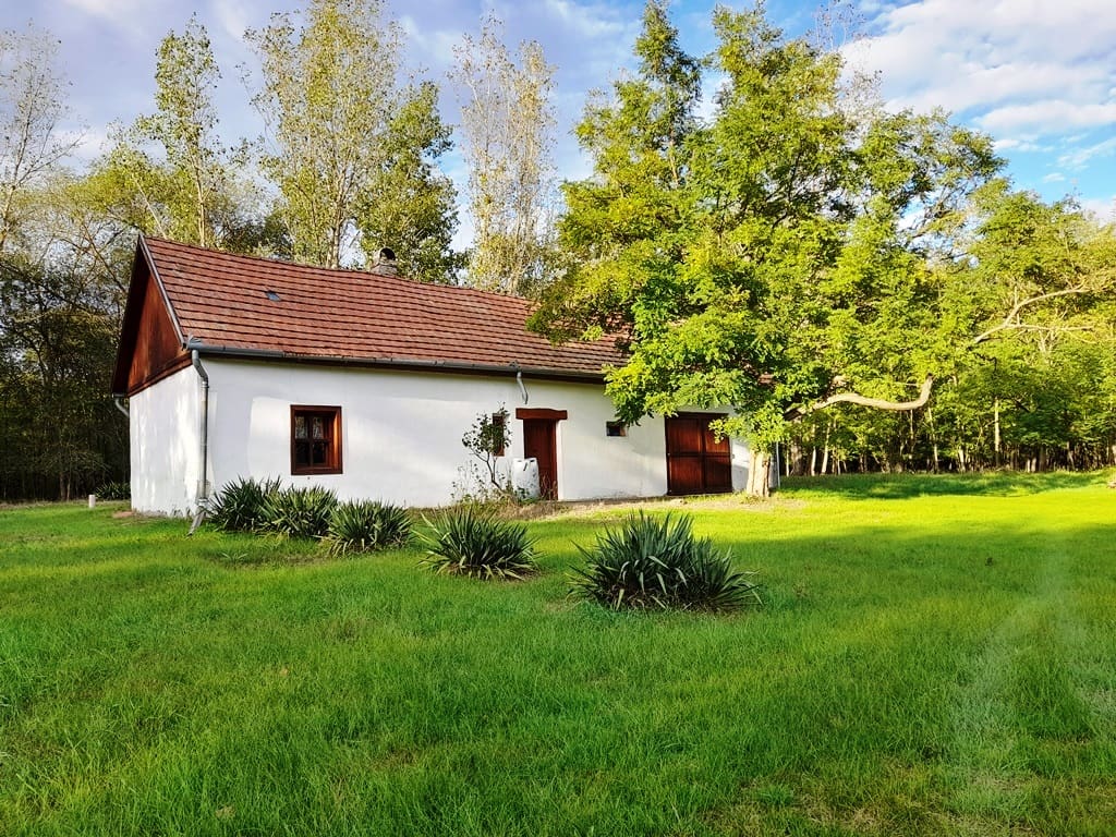 Egyszerű fehér vidéki ház nagy zöld udvarral, fákkal és bokrokkal egy nyugodt, természetközeli környezetben.